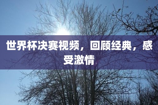 世界杯决赛视频，回顾经典，感受激情