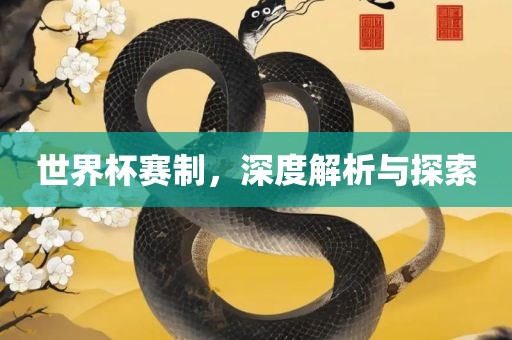 世界杯赛制，深度解析与探索