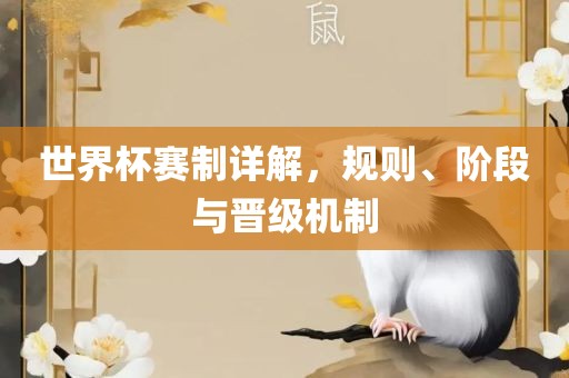 世界杯赛制详解，规则、阶段与晋级机制