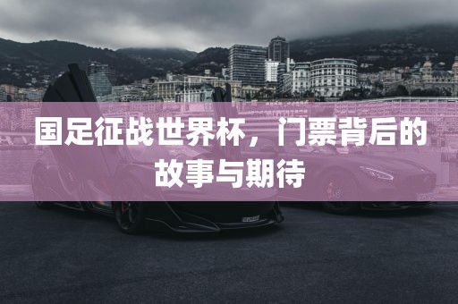 国足征战世界杯，门票背后的故事与期待