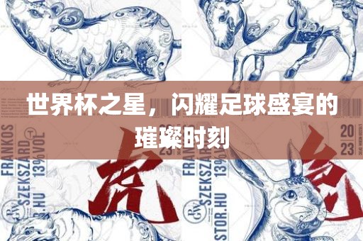 世界杯之星，闪耀足球盛宴的璀璨时刻