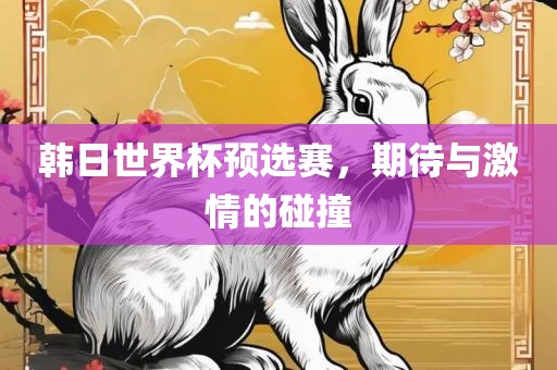 韩日世界杯预选赛，期待与激情的碰撞