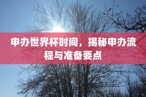 申办世界杯时间，揭秘申办流程与准备要点