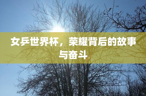 女乒世界杯，荣耀背后的故事与奋斗