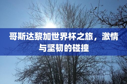 哥斯达黎加世界杯之旅，激情与坚韧的碰撞