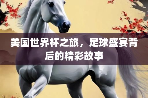 美国世界杯之旅，足球盛宴背后的精彩故事