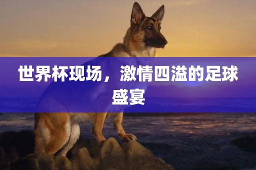 世界杯现场，激情四溢的足球盛宴