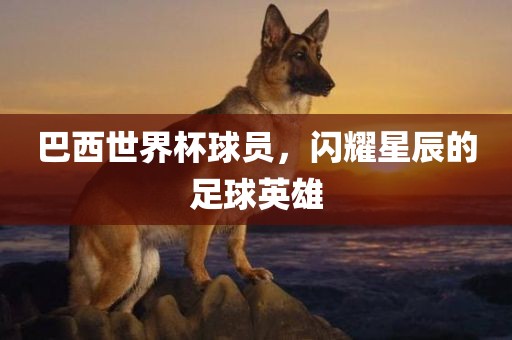 巴西世界杯球员，闪耀星辰的足球英雄