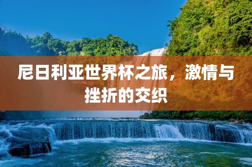 尼日利亚世界杯之旅，激情与挫折的交织