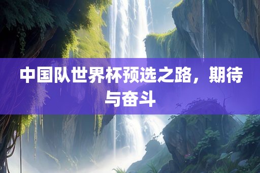 中国队世界杯预选之路，期待与奋斗