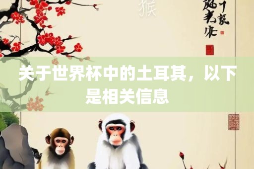 关于世界杯中的土耳其，以下是相关信息