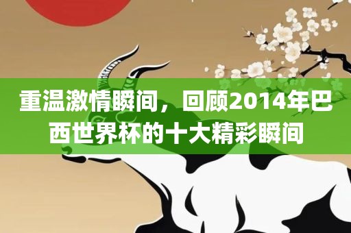 重温激情瞬间，回顾2014年巴西世界杯的十大精彩瞬间