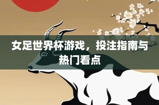 女足世界杯游戏，投注指南与热门看点