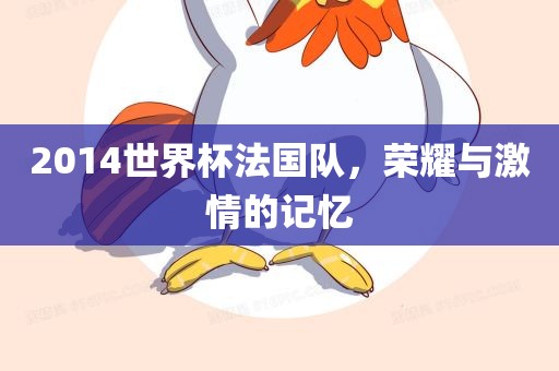 2014世界杯法国队，荣耀与激情的记忆