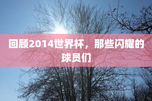 回顾2014世界杯，那些闪耀的球员们
