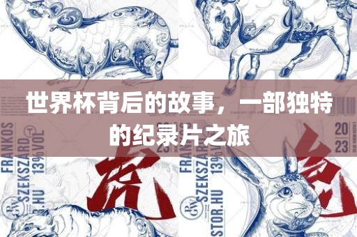 世界杯背后的故事，一部独特的纪录片之旅
