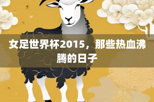 女足世界杯2015，那些热血沸腾的日子