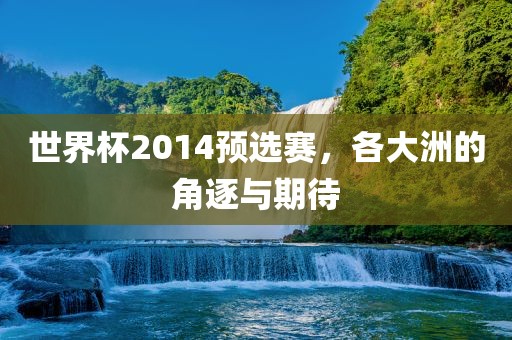 世界杯2014预选赛，各大洲的角逐与期待