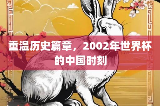 重温历史篇章，2002年世界杯的中国时刻