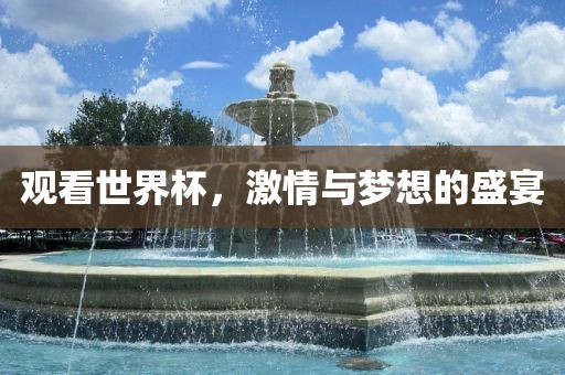 观看世界杯，激情与梦想的盛宴