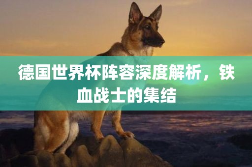 德国世界杯阵容深度解析，铁血战士的集结
