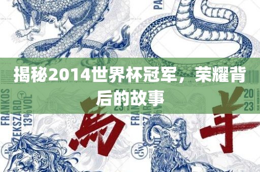 揭秘2014世界杯冠军，荣耀背后的故事