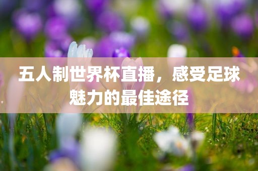 五人制世界杯直播，感受足球魅力的最佳途径