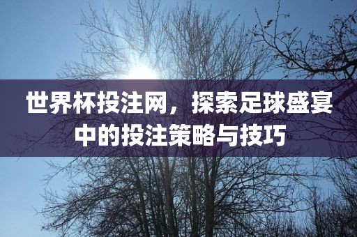 世界杯投注网，探索足球盛宴中的投注策略与技巧