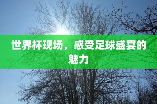 世界杯现场，感受足球盛宴的魅力