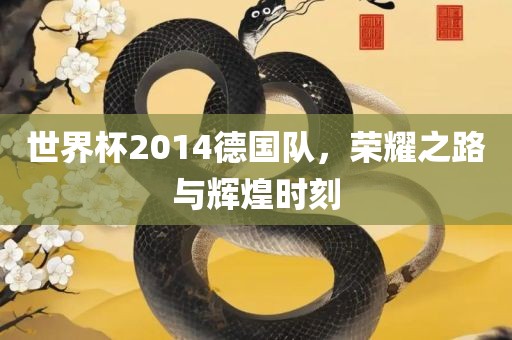 世界杯2014德国队，荣耀之路与辉煌时刻