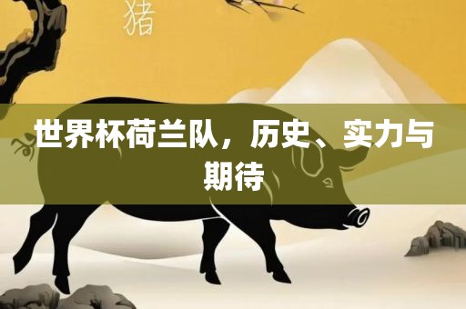 世界杯荷兰队，历史、实力与期待