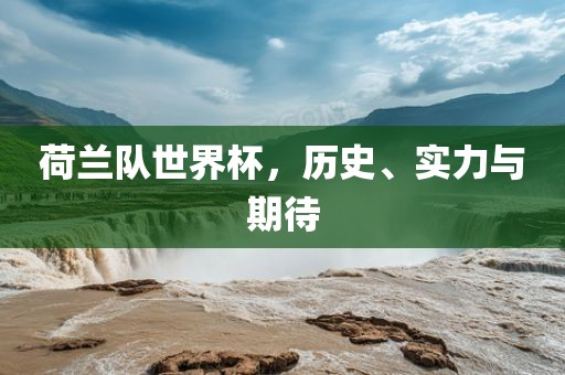 荷兰队世界杯，历史、实力与期待