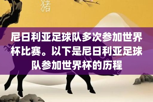 尼日利亚足球队多次参加世界杯比赛。以下是尼日利亚足球队参加世界杯的历程