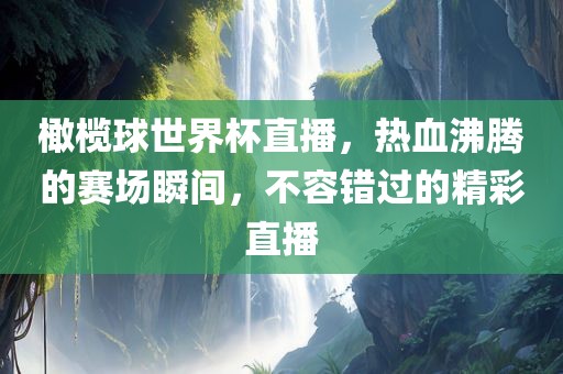 橄榄球世界杯直播，热血沸腾的赛场瞬间，不容错过的精彩直播