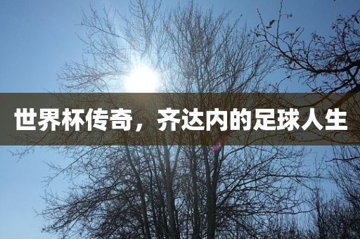 世界杯传奇，齐达内的足球人生