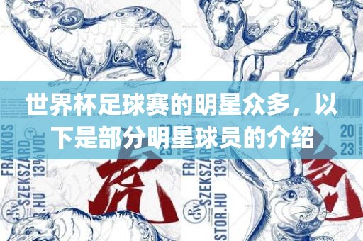 世界杯足球赛的明星众多，以下是部分明星球员的介绍