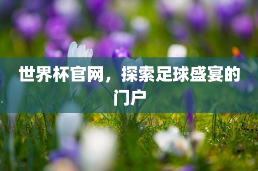 世界杯官网，探索足球盛宴的门户