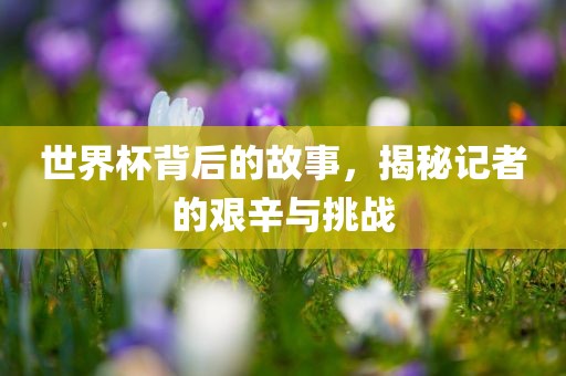 世界杯背后的故事，揭秘记者的艰辛与挑战