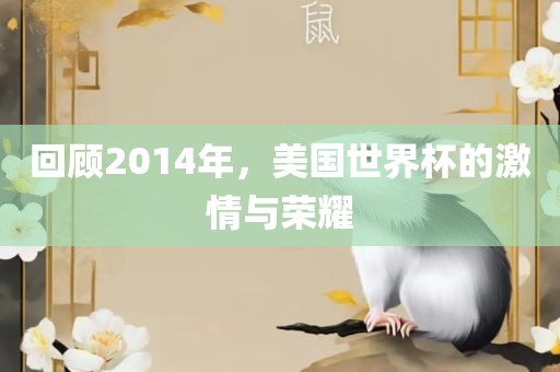回顾2014年，美国世界杯的激情与荣耀