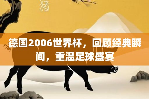 德国2006世界杯，回顾经典瞬间，重温足球盛宴