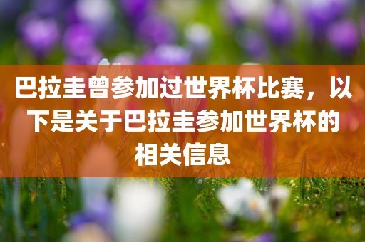 巴拉圭曾参加过世界杯比赛，以下是关于巴拉圭参加世界杯的相关信息