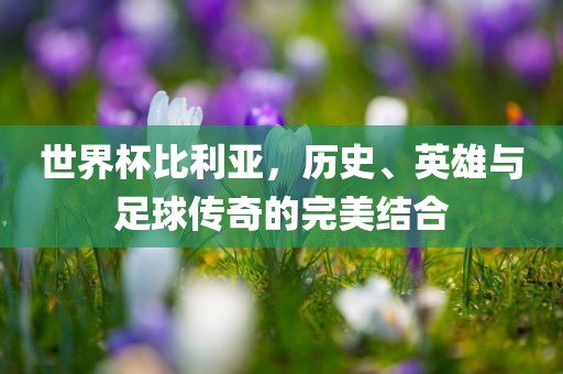 世界杯比利亚，历史、英雄与足球传奇的完美结合
