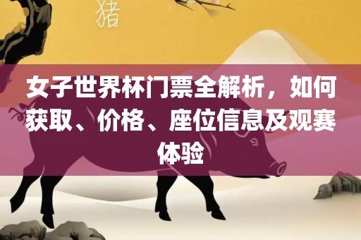 女子世界杯门票全解析，如何获取、价格、座位信息及观赛体验