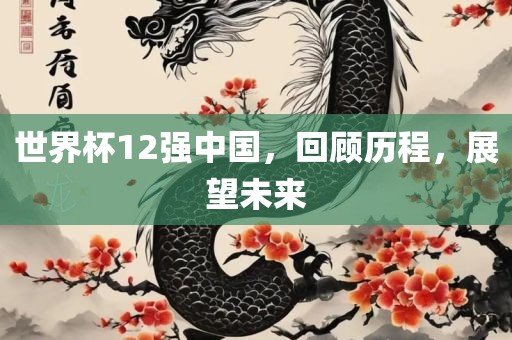 世界杯12强中国，回顾历程，展望未来