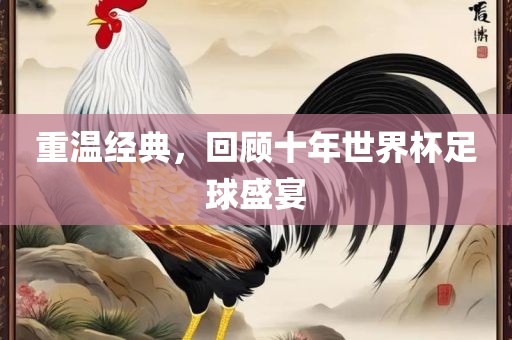 重温经典，回顾十年世界杯足球盛宴