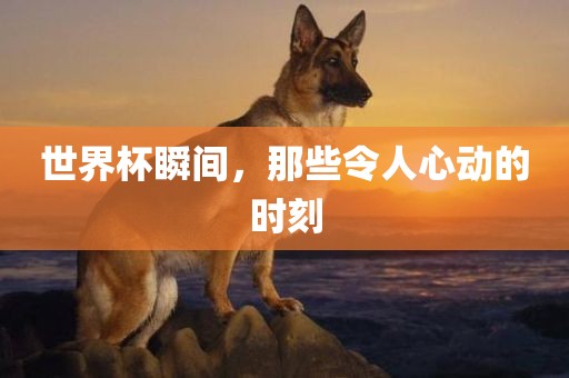 世界杯瞬间，那些令人心动的时刻