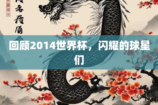 回顾2014世界杯，闪耀的球星们