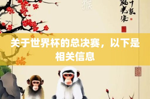关于世界杯的总决赛，以下是相关信息