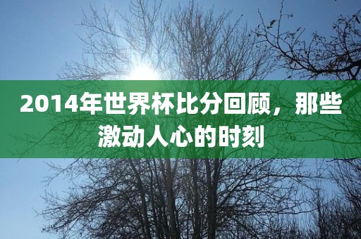 2014年世界杯比分回顾，那些激动人心的时刻