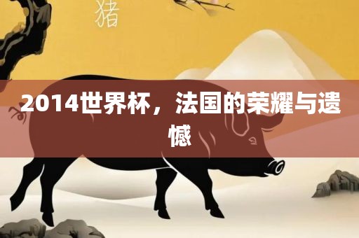 2014世界杯，法国的荣耀与遗憾